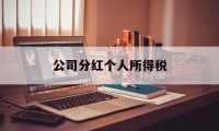 公司分红个人所得税(海南公司分红个人所得税)