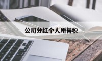 公司分红个人所得税(公司分红个人所得税怎么申报)