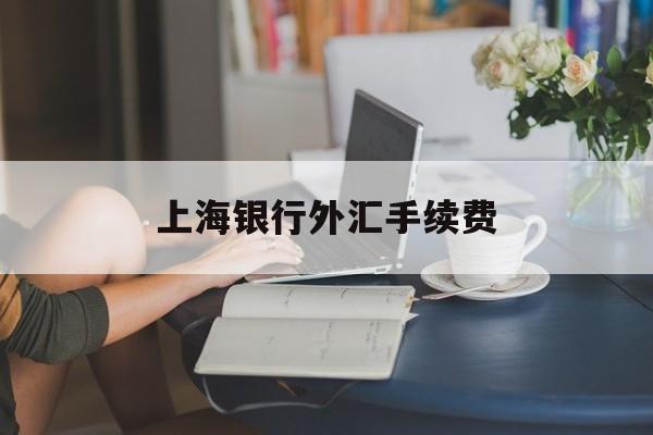 上海银行外汇手续费(上海银行境外汇款手续费)